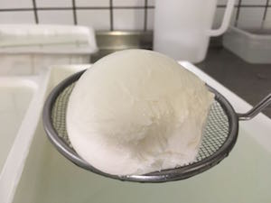 Mozzarella di Gioia del Colle