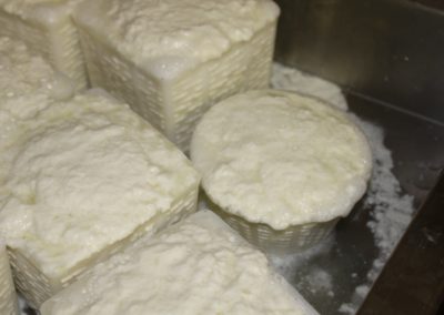 Ricotta