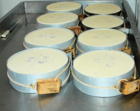 Formaggio agordino di malga Pat