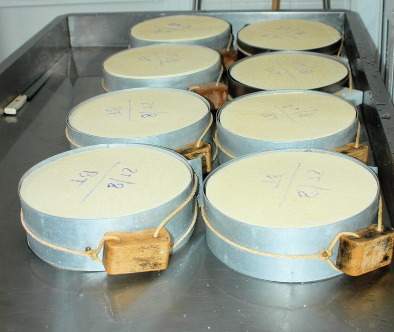 Formaggio agordino di malga Pat