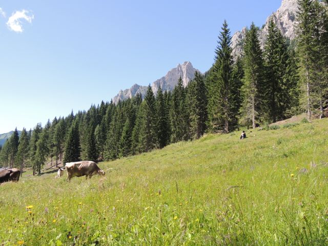 Caseus Veneti 2014, ha perso la Malga
