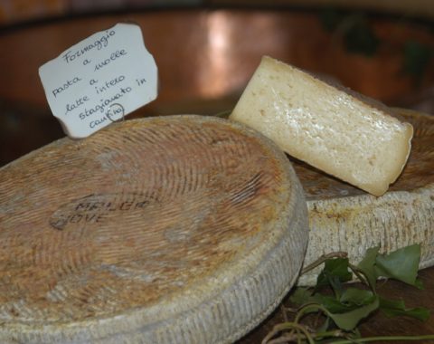 Canestrato di Novezza sul monte Baldo