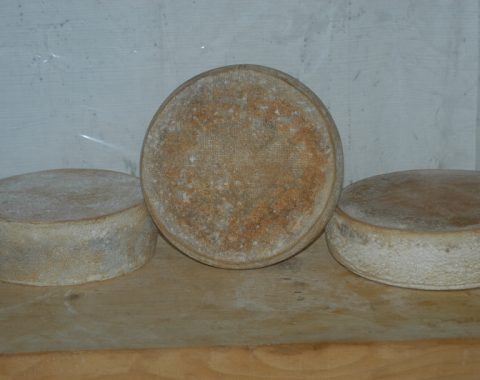 Costa formaggio dei pascoli del Tamai