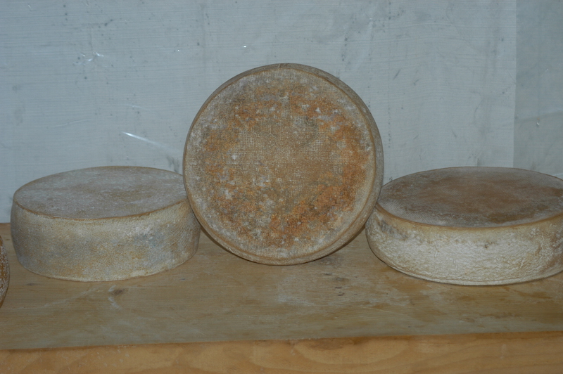 Costa formaggio dei pascoli del Tamai