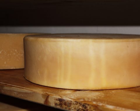 Crosta rossa di Cornigian