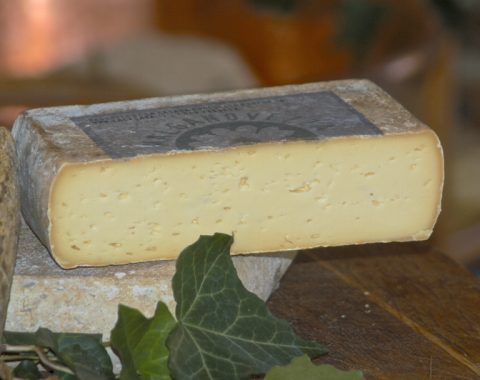 Genziana del Monte Baldo formaggio a pasta molle