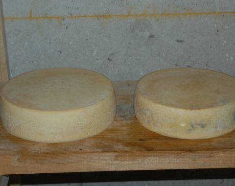 Avedin, il formaggio ominimo della malga zoldana