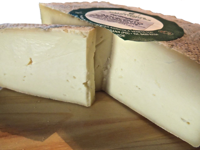 Nasce “Novecento” il nuovo formaggio di Mucca Verde