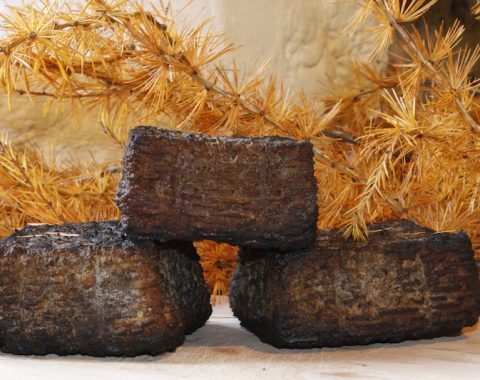 Ricotta affumicata con fumo di fronde di larice