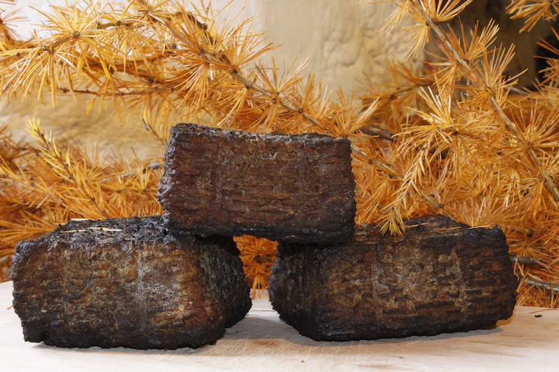 Ricotta affumicata con fumo di fronde di larice