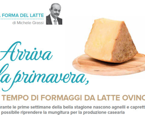 Arriva la primavera è ora di formaggi a latte ovino