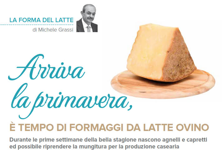 Arriva la primavera è ora di formaggi a latte ovino