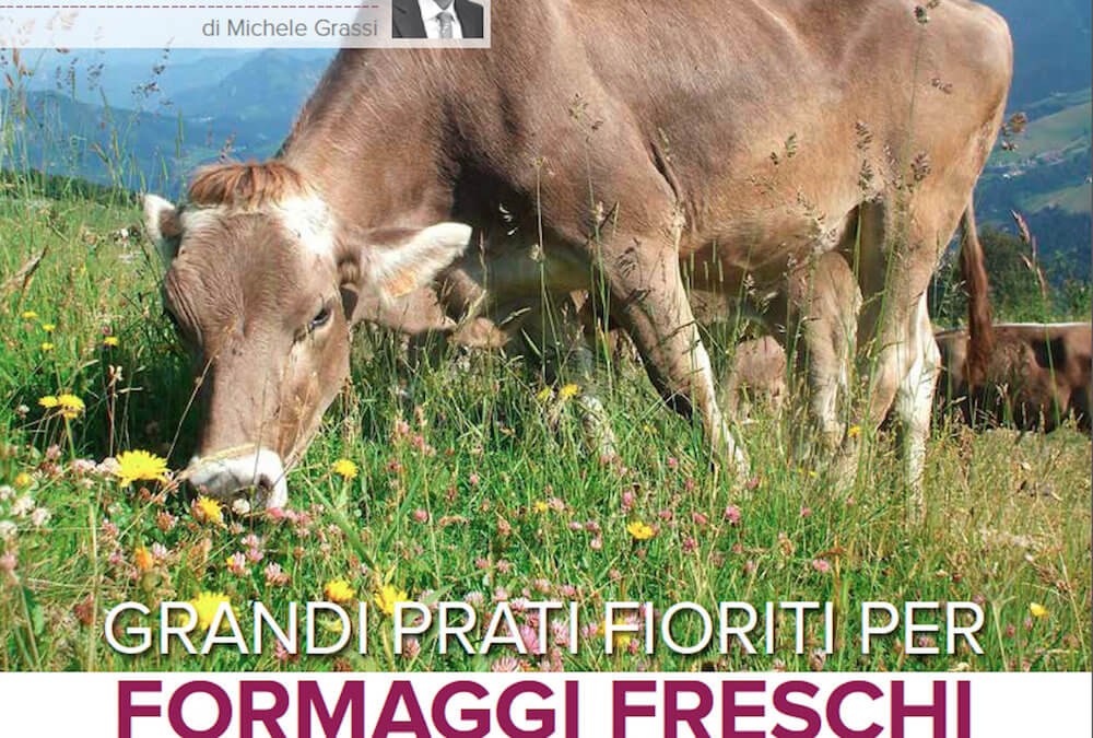 Grandi prati fioriti per formaggi freschi o stagionati aromatizzati