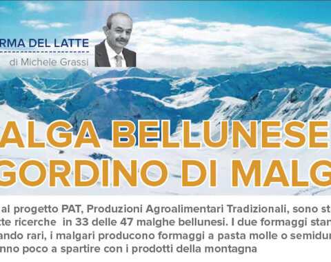 Malga bellunese e Agordino di malga a rischio estinzione