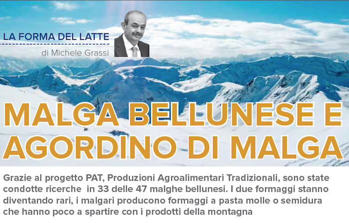 Malga bellunese e Agordino di malga a rischio estinzione