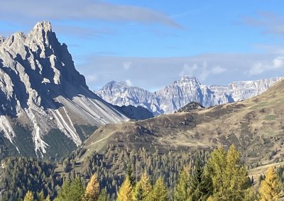 IMG_2782