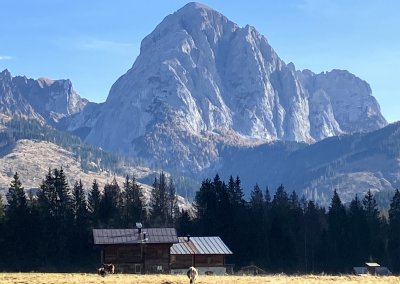 IMG_2955