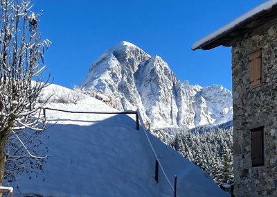 IMG_3110
