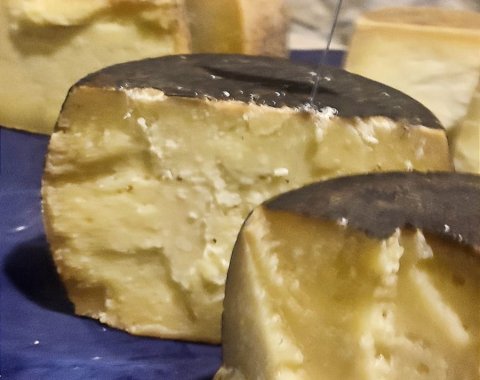 Premio Speciale ALTA AGROS CASEI al Concorso Pascolo e Alpeggio Italiano